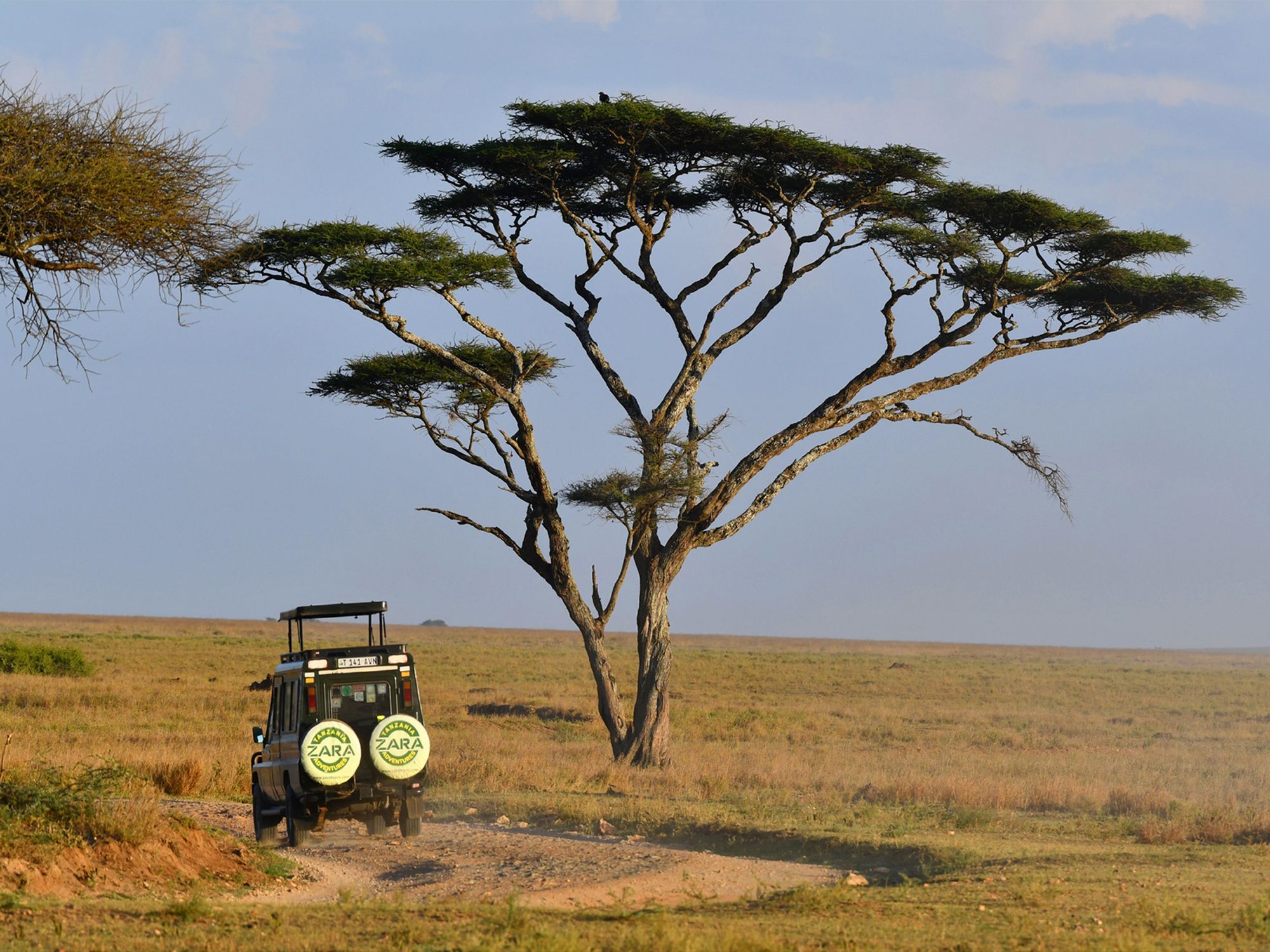 Serengeti Wildebeest Camp 호텔 외부 사진